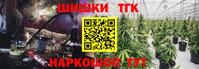 apvp Кингисепп