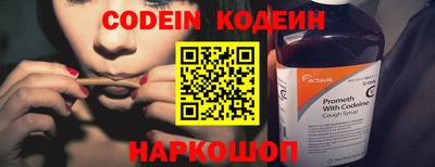 apvp Кингисепп