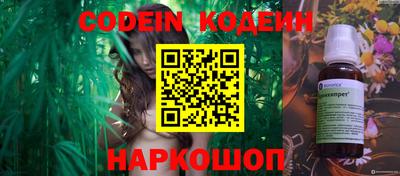 apvp Кингисепп