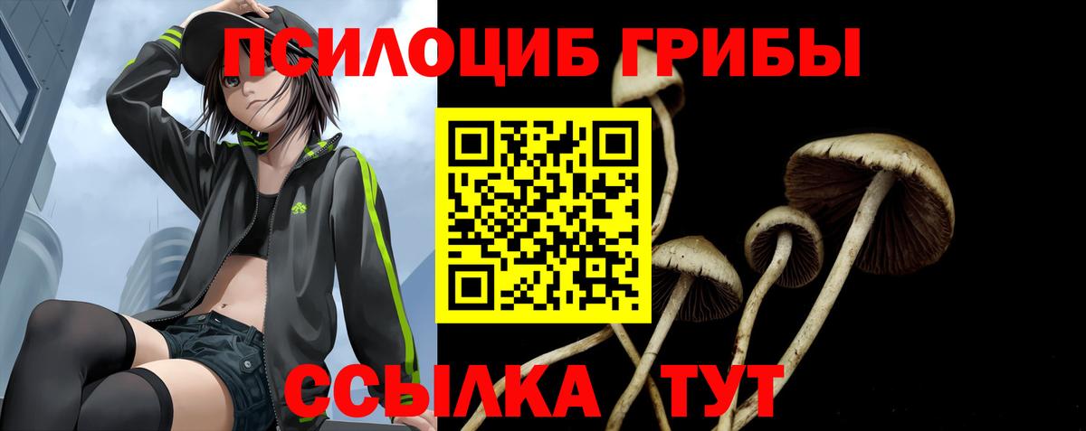 Галлюциногенные грибы MAGIC MUSHROOMS Коммунар
