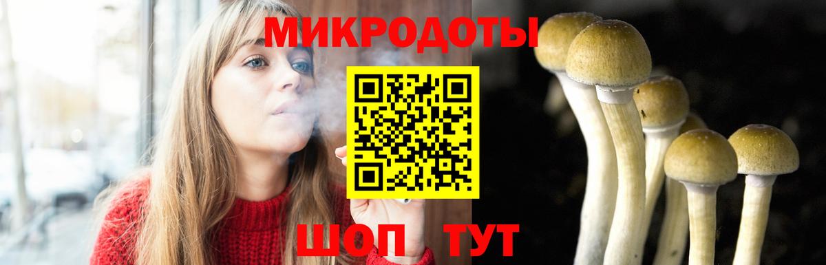 Галлюциногенные грибы Magic Shrooms  Вход с VPN  Коммунар 